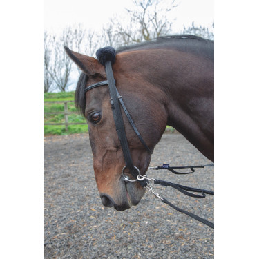 Adaptador de guia Shires Preto