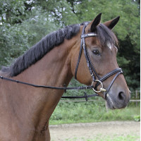 Rendas Covalliero...