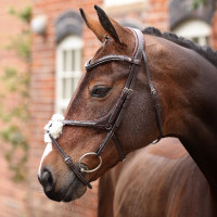 Bridão com noseband cruzado Opus 180M Shires Velociti Lusso Havana Castanho