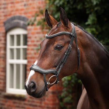 new