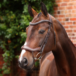 Bridão ergonômico com noseband francês Opus 180M Shires Velociti Lusso Havana Castanho Bridão ergonômico com noseband francês Opus 180M Shires Velociti Lusso Havana Castanho
