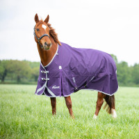 Capa de exterior Original 100 Shires Highlander Ameixa Violeta