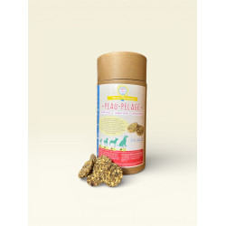 Suplemento Pele e Pelagem para cão Happy Crackers