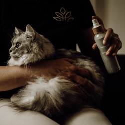 Desembaraçador e lustrador Nellumbo para cães e gatos