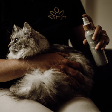 Desembaraçador e lustrador Nellumbo para cães e gatos