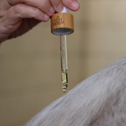 Sérum Sublime para Crinas Nellumbo