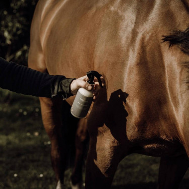 Recarga ecológica de desembaraçador de crinas Nellumbo