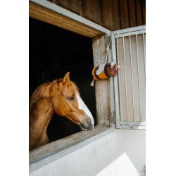 Brinquedo para cavalos Hippotonic Abelha Amarelo