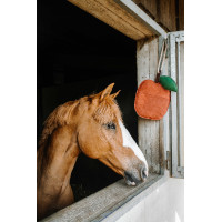 Brinquedo para cavalos Hippotonic Maçã Vermelho