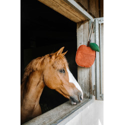 Brinquedo para cavalos Hippotonic Maçã Vermelho