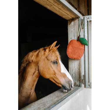 Brinquedo para cavalos Hippotonic Maçã Vermelho