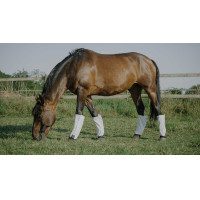 Caneleiras Equithème anti-moscas e anti-UV (conjunto de 4) Branco