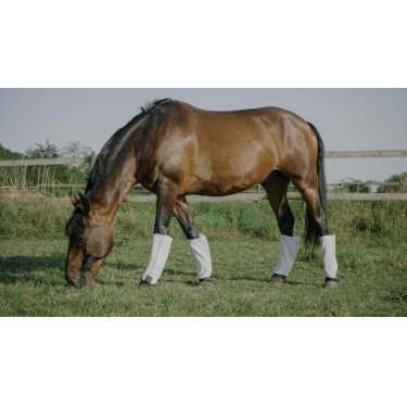 Caneleiras Equithème anti-moscas e anti-UV (conjunto de 4) Branco