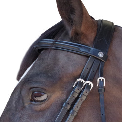Bridon Pull Back Euro Canter Preto Bridon Pull Back Euro Canter Preto