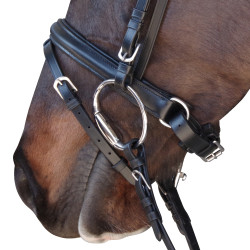 Bridon Pull Back Euro Canter Preto Bridon Pull Back Euro Canter Preto