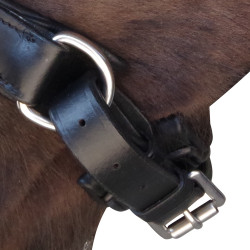 Bridon Pull Back Euro Canter Preto Bridon Pull Back Euro Canter Preto