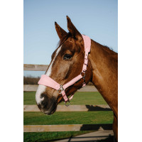 Cabeçada Equithème Breeze Rosa