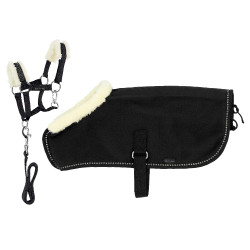 Conjunto Mini cabresto + manta Pony Academy Preto Conjunto Mini cabresto + manta Pony Academy Preto
