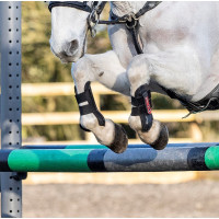 Guêtres LeMieux Junior Pro Preto