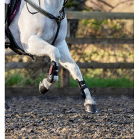 Guêtres LeMieux Junior Pro Preto