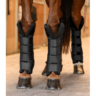 Botas de estábulo e de transporte Waldhausen suporte das articulações anteriores Preto Botas de estábulo e de transporte Waldhausen suporte das articulações anteriores Preto