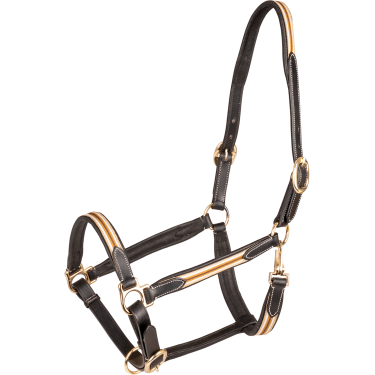Cabridão de couro Oxford X-Line Waldhausen marrom Bege