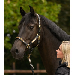 Cabridão de couro Oxford X-Line Waldhausen marrom Bege