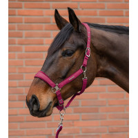 Cabresto e guia Waldhausen Velvet Granada Rosa