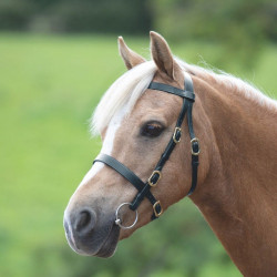 Bridão de apresentação liso Shires Velociti Gara Preto Bridão de apresentação liso Shires Velociti Gara Preto