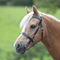 Bridão de apresentação liso Shires Velociti Gara Preto