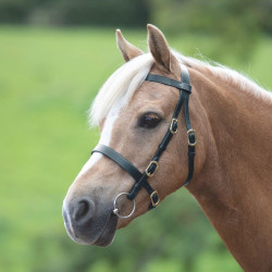 Bridão de apresentação liso Shires Velociti Gara Preto Bridão de apresentação liso Shires Velociti Gara Preto