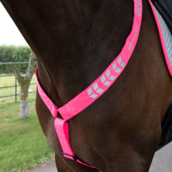 Peitoral Shires Equi-Flector® Rosa vivo Peitoral Shires Equi-Flector® Rosa vivo