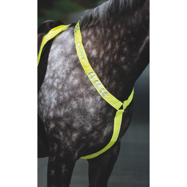 Peitoral Shires Equi-Flector® Amarelo vivo