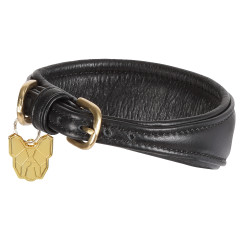 Coleira acolchoada para galgo Shires Digby & Fox Preto