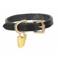 Coleira de couro plana Shires Digby & Fox para cão Preto Coleira de couro plana Shires Digby & Fox para cão Preto
