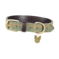 Coleira para cão em tweed Shires Digby & Fox Xadrez vermelho/amarelo/azul Motivos