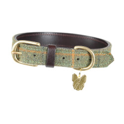 Coleira para cão em tweed Shires Digby & Fox Xadrez vermelho/amarelo/azul Motivos