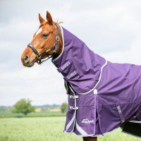 Cobre-pescoço de exterior Original 100 Shires Highlander Ameixa Violeta Cobre-pescoço de exterior Original 100 Shires Highlander Ameixa Violeta