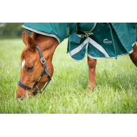 Cobre-pescoço de exterior Original 300 Shires Highlander Verde Cobre-pescoço de exterior Original 300 Shires Highlander Verde