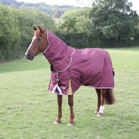 Cobre-pescoço para manta de exterior Plus 100 Shires Highlander Bordéus Bordô Cobre-pescoço para manta de exterior Plus 100 Shires Highlander Bordéus Bordô