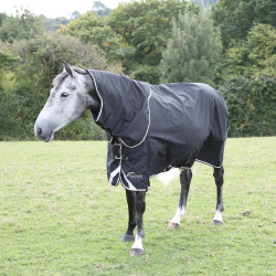 Pala para cobertura de exterior Plus 200 Shires Highlander Preto