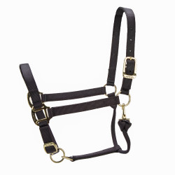 Caveção ajustável Premium Shires Arma Preto