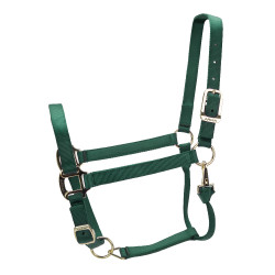 Caveção ajustável Premium Shires Arma Verde caçador