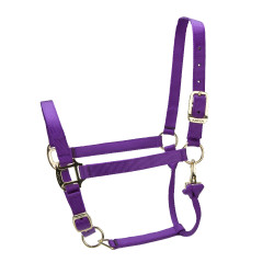 Caveção ajustável Premium Shires Arma Violeta