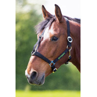 Cabresto Shires Greenguard Preto