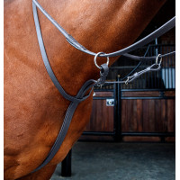 Martingale com anéis Shires Velociti Rapida Preto