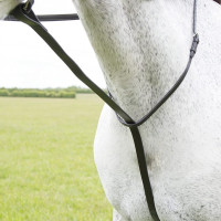 Martingale fixa Shires Velociti Gara Preto