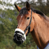 Cesta de pastagem AirFlow Shires FreeGraze Preto