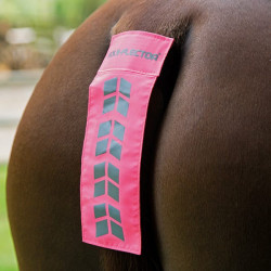 Rabicho Shires Equi-Flector® Rosa vivo