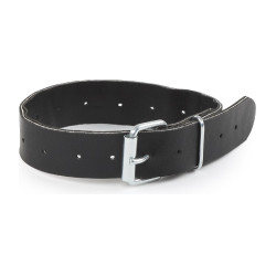 Correia de substituição Shires Greenguard Preto